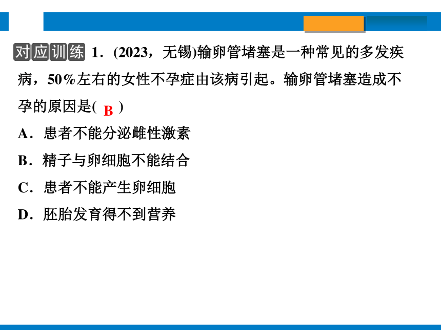 2024浙江省中考科学总复习第3讲　人与动物的生殖和发育（课件 30张PPT）