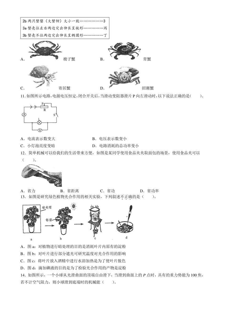 浙江省台州市温岭市2024年九年级教学质量评估试题 科学试题卷（含答案）