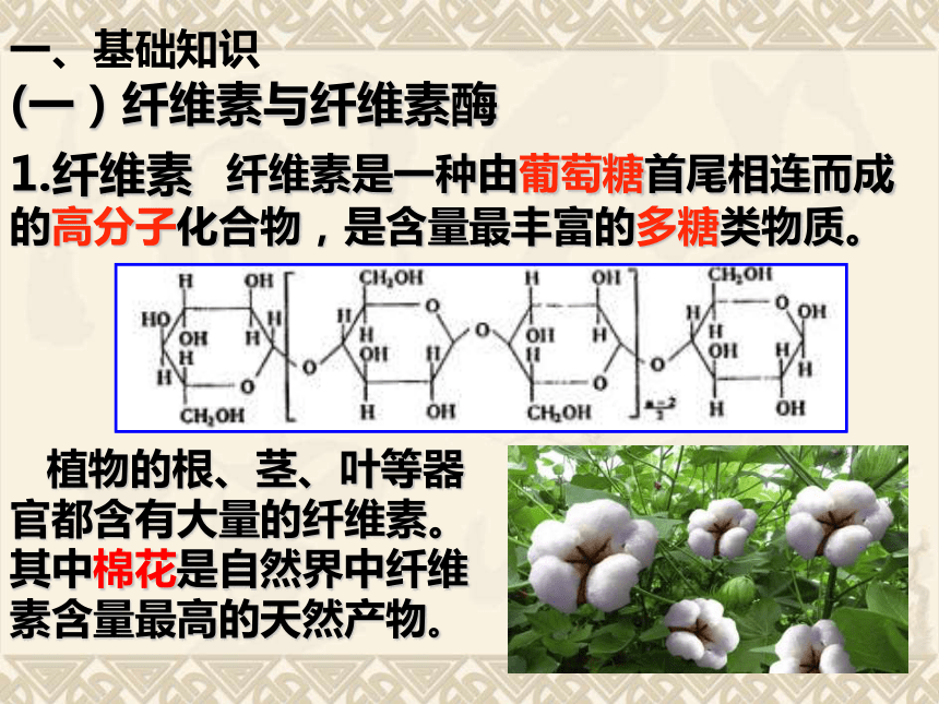 2．3分解纤维素的微生物的分离（共29张PPT）