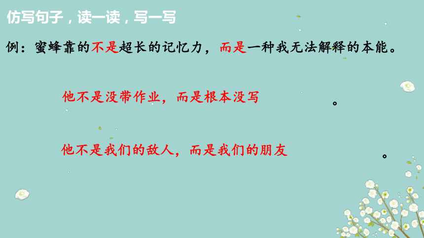 部编版三年级语文下册第四单元复习课件第二课时课件(共18张PPT)