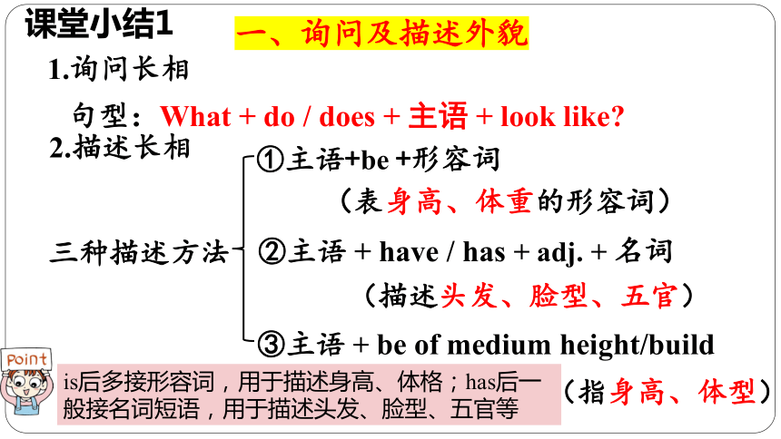 Unit 9 What does he look like Section A Grammar Focus-3d 课件(共28张PPT)人教版英语七年级下册