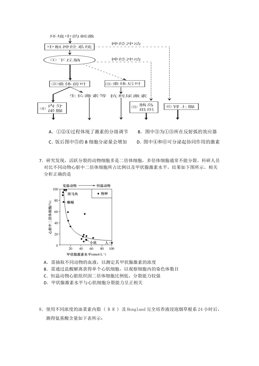 2020年北京高考生物押题试卷二