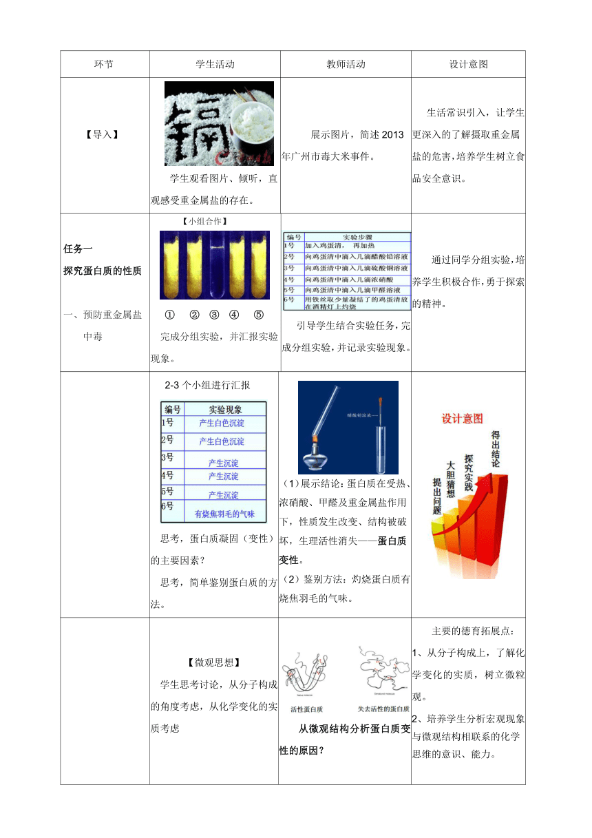 鲁教版（五四制）九下化学 5.3远离有毒物质  教案