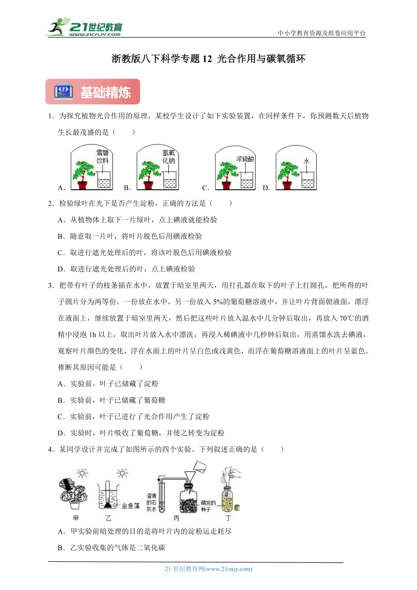 浙教版八下科学期中专题12 光合作用与碳氧循环（含答案）