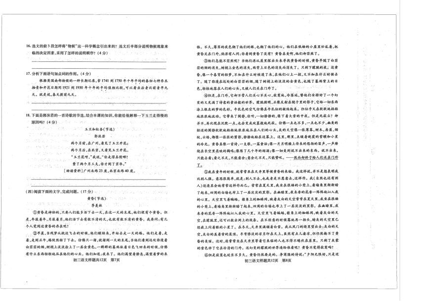 山东省泰安市泰山区2023-2024学年八年级下学期4月期中语文试题（图片版，含答案）