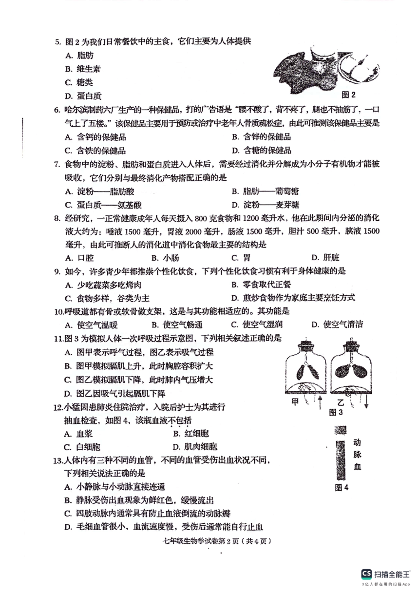 广西贺州市昭平县2023-2024学年七年级下学期4月期中生物试题（PDF版  含答案）