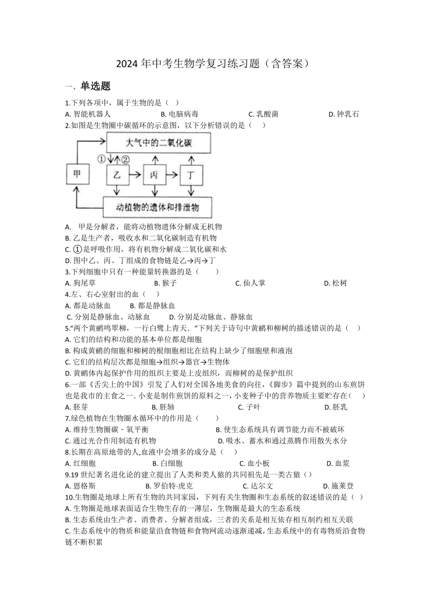 2024年中考生物学复习练习题（含答案）