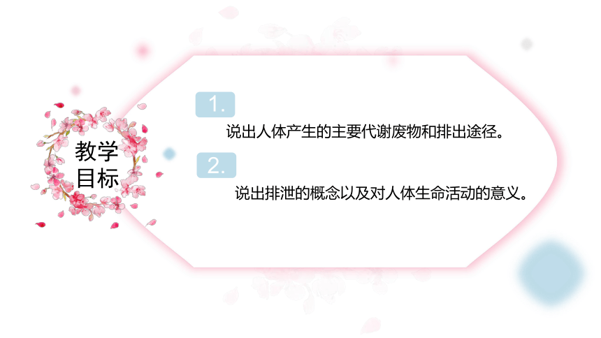 4.11.1人体产生的代谢废物-北师大版七年级生物下册课件(共24张PPT)