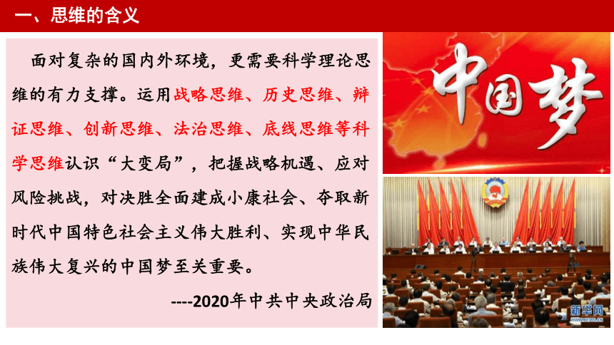 1.1 思维的含义与特征 课件(共33张PPT)-2023-2024学年高中政治统编版选择性必修三逻辑与思维