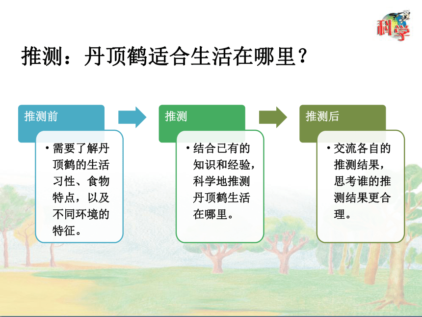 粤教粤科版（2017秋）六年级下册3.13丹顶鹤生活在哪里（课件共25张ppt）