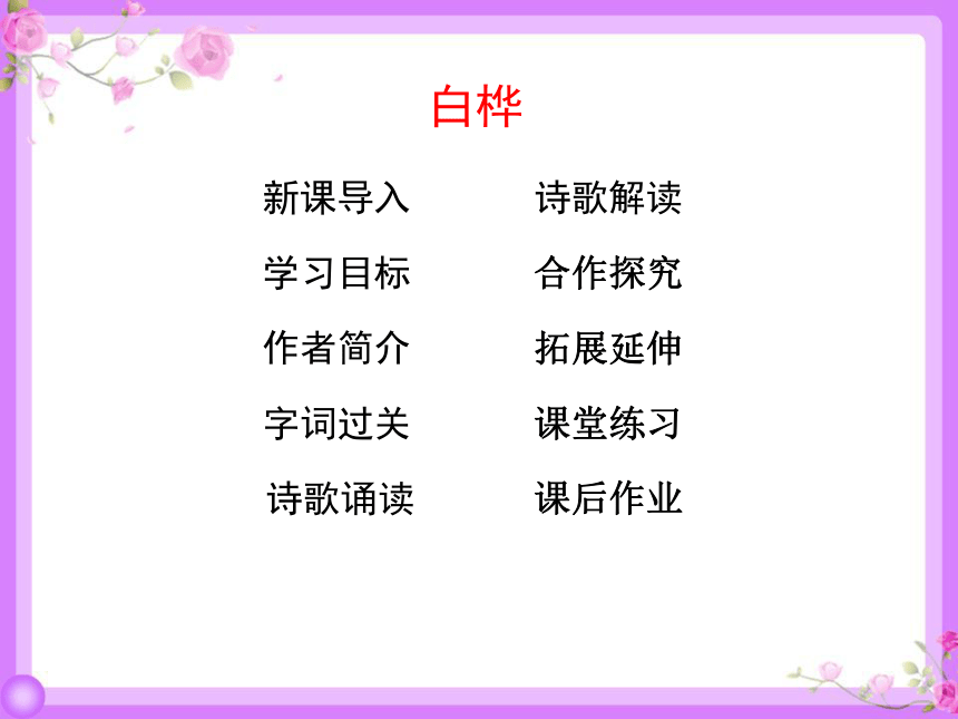 11 白桦 课件（26张）