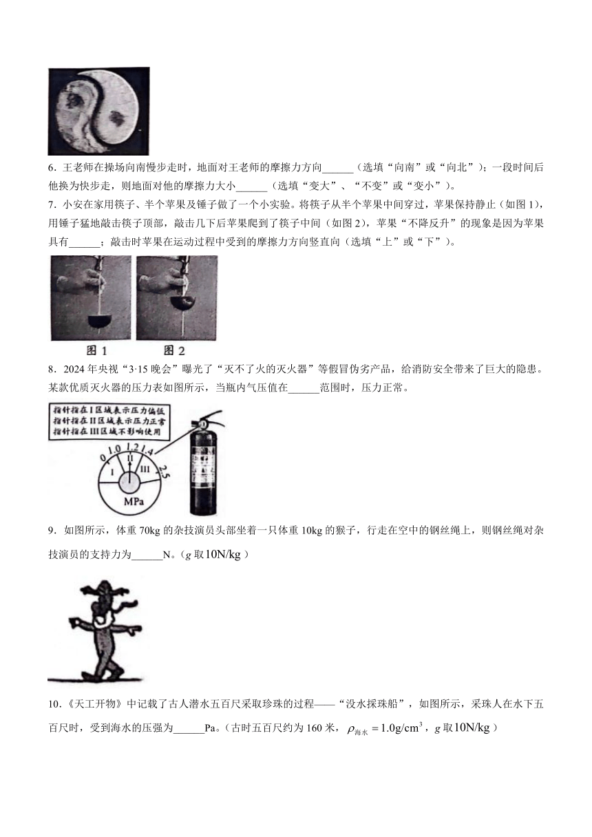 安徽省安庆市桐城市黄岗初级中学2023-2024学年八年级下学期物理期中考试（有答案）