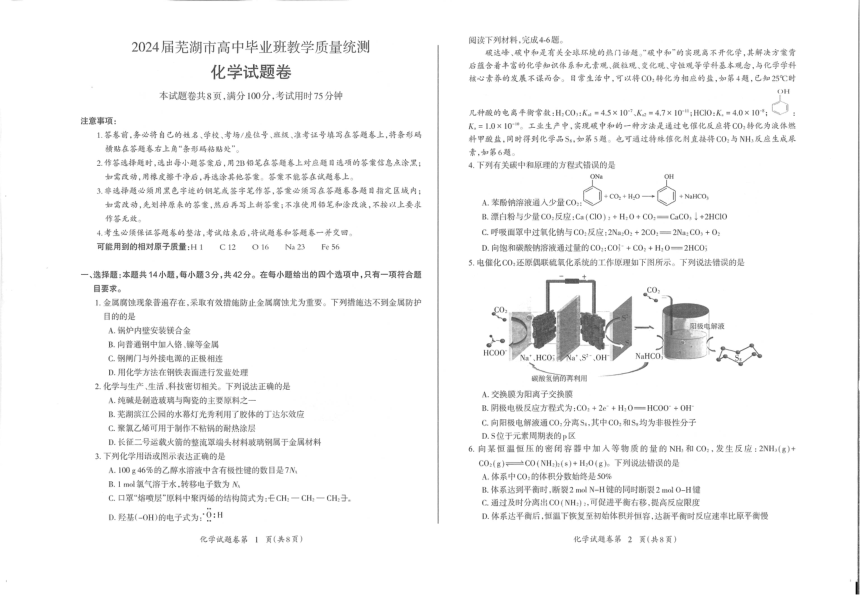 化学-安徽省芜湖市2024届高三下学期二模（PDF版含答案）