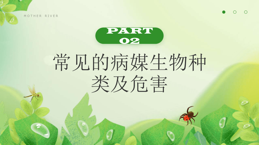 6月6日世界害虫日——  控制虫害、保护健康 课件(共17张PPT) 小学班会