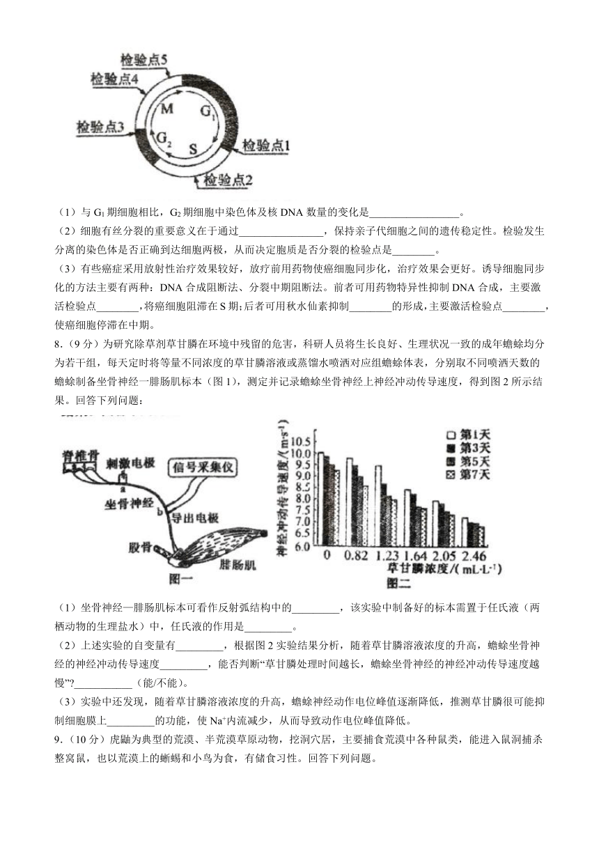 四川省绵阳市涪城区东辰中学2024年高考模拟考试(一模)生物试题（含答案）