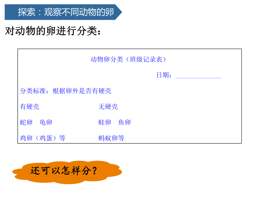 2.2认识其他动物的卵  (课件共14张PPT)