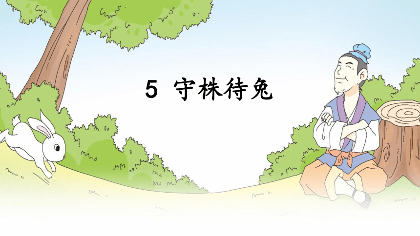 5 守株待兔 课件(共24张PPT)