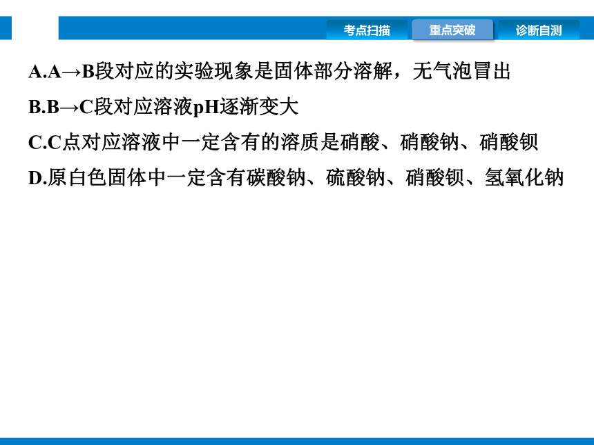 2024浙江省中考科学复习第38讲　重要的盐（课件  37张PPT）