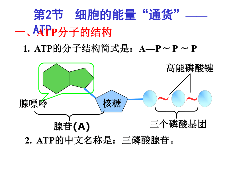 人教版高中必修一生物5.2  细胞的能量“通货” ―ATP(27张PPT)