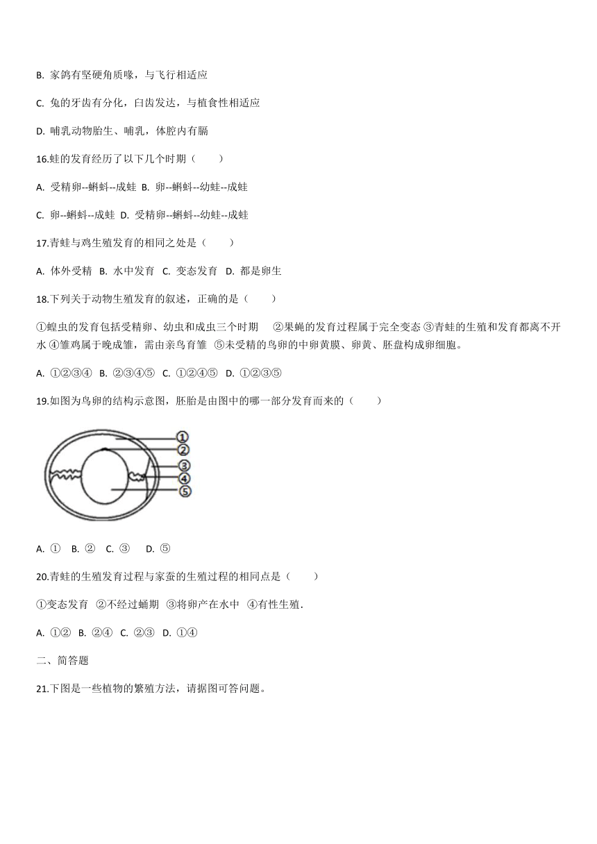 人教版八年级生物下册第七单元第一章生物的生殖和发育 单元测试题（有答案）
