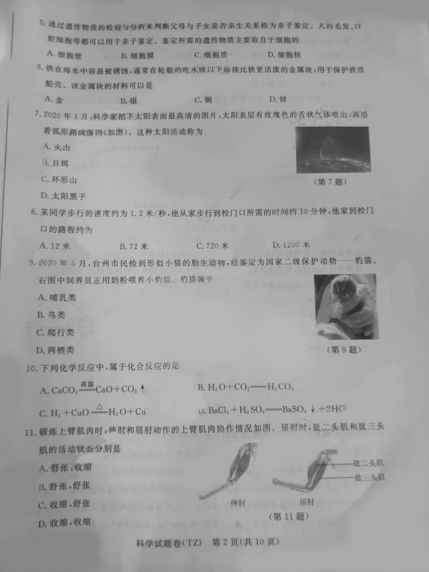 浙江省2020年初中学业水平考试(台州卷)科学试题卷（PDF版 含答案）