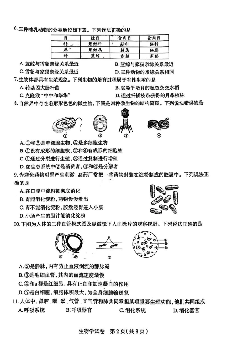 2024年河北省石家庄市初中毕业班中考生物一模卷（PDF版含答案）