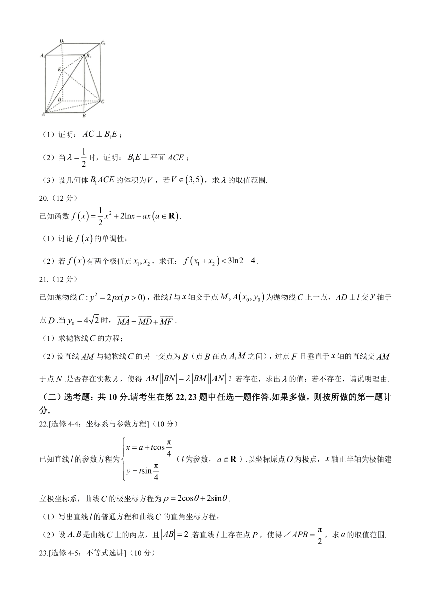 西藏自治区拉萨市2024届高三下学期5月月考试题 数学（文）（PDF版含解析）