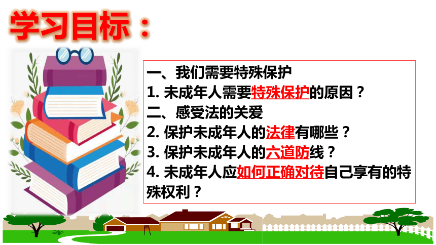 （核心素养目标）10.1 法律为我们护航 课件（共24张PPT）