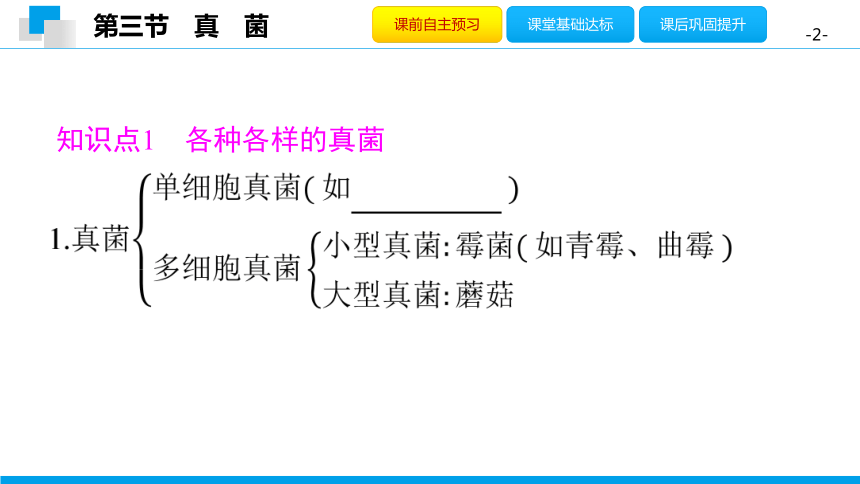 5.4.3 真　菌-2020年秋人教版八年级上册生物课件(共28张PPT)