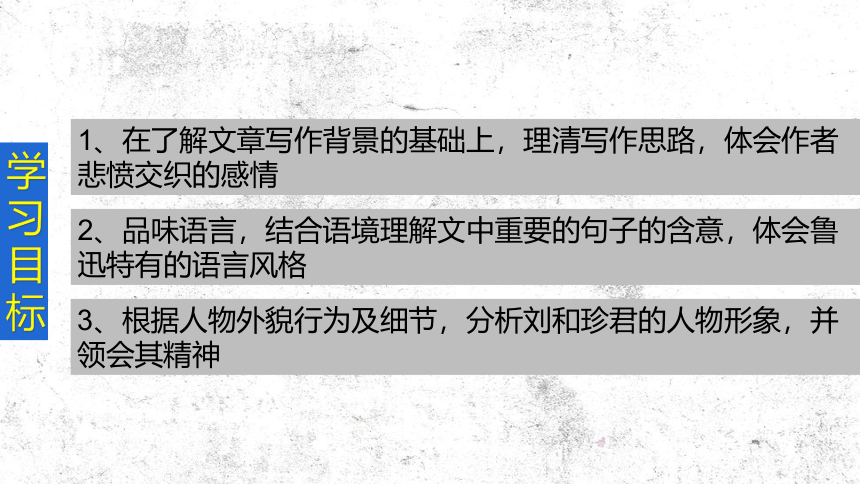 6.1《记念刘和珍君》课件(共48张PPT)2023-2024学年统编版高中语文选择性必修中册