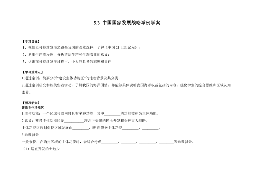 5.3 中国国家发展战略举例学案（含答案）