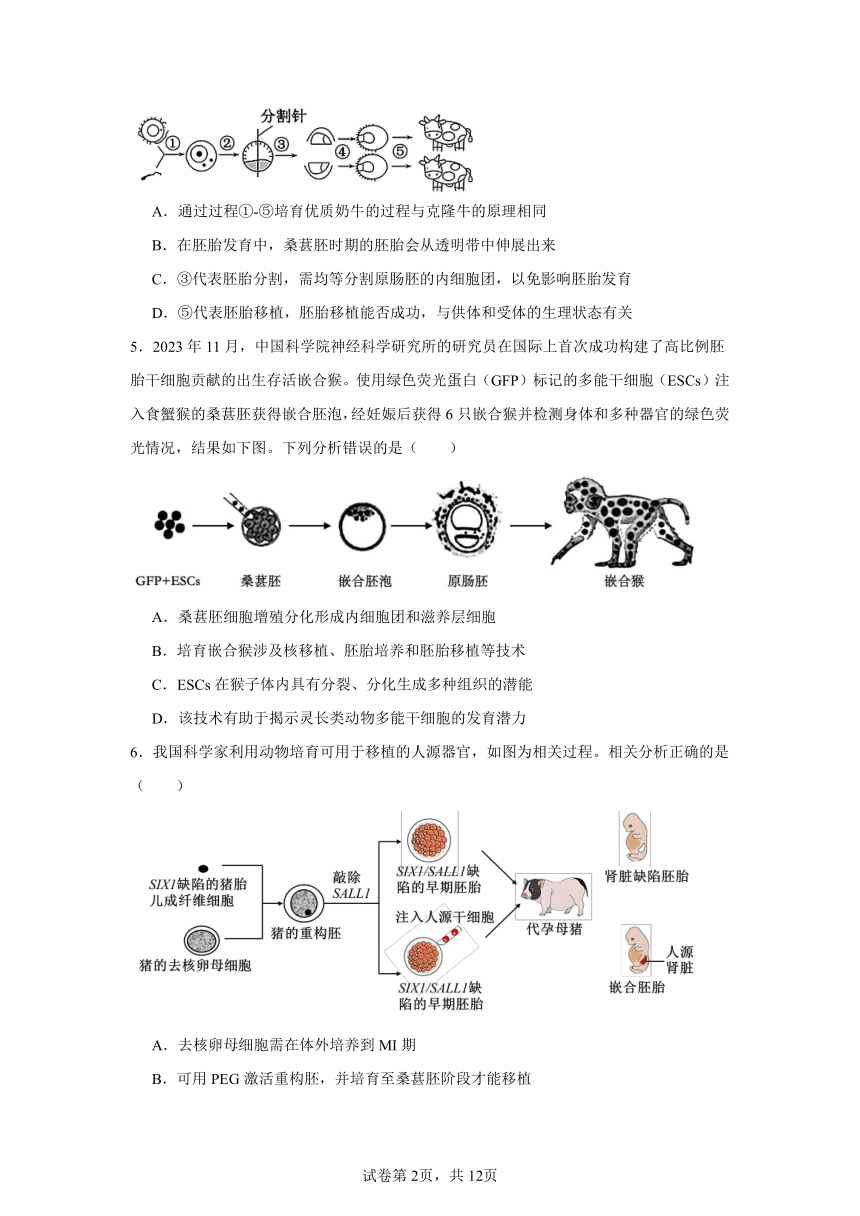 2.3胚胎工程同步练习（含解析）2023——2024学年高生物人教版（2019）选择性必修必修3生物技术与工程