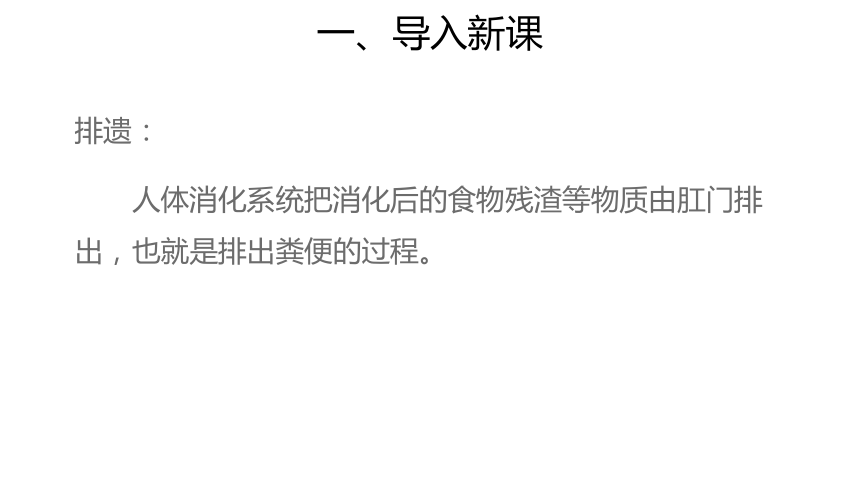 人教版生物学七年级下册 4.5人体内废物的排出(课件)(共30张PPT)