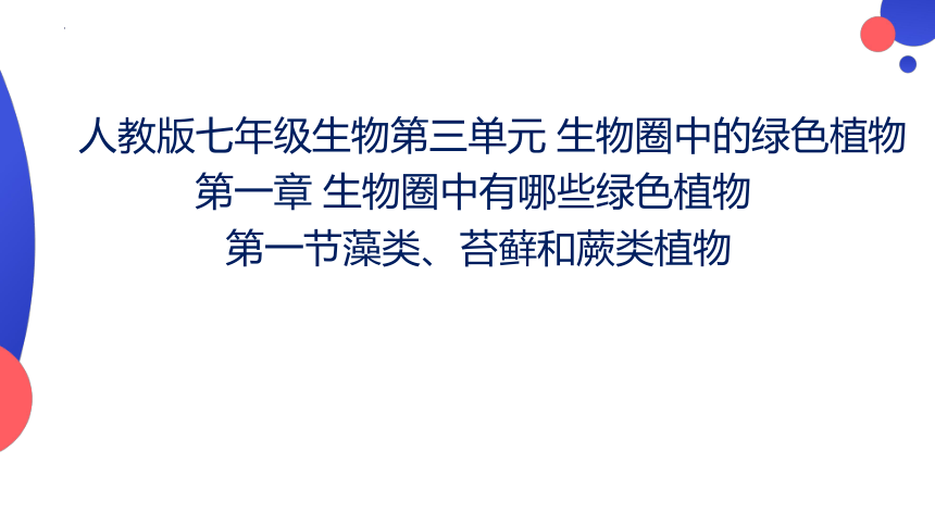 3.1.1  藻类、苔藓和蕨类植物  课件(共25张PPT)2023-2024学年人教版生物七年级上册