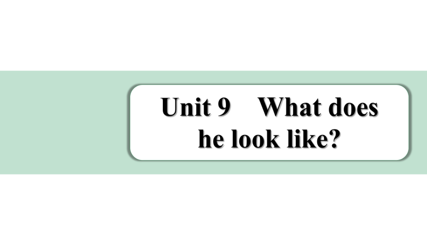 Unit 9 What does he look like词句篇情境练习课件 (共27张PPT)人教版英语七年级下册