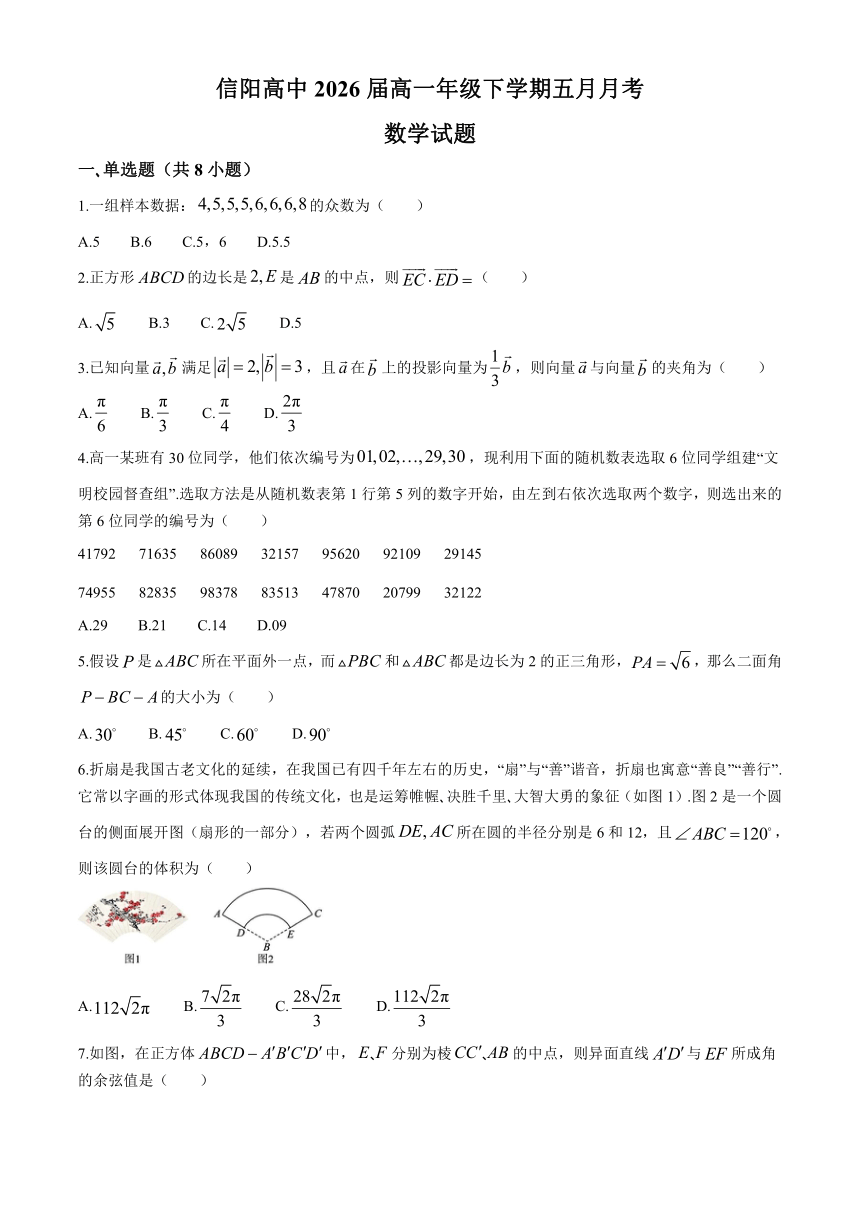 河南省信阳高级中学2023-2024学年高一下学期五月月考数学试卷（含答案）