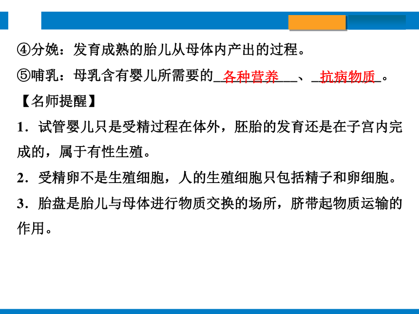 2024浙江省中考科学总复习第3讲　人与动物的生殖和发育（课件 30张PPT）