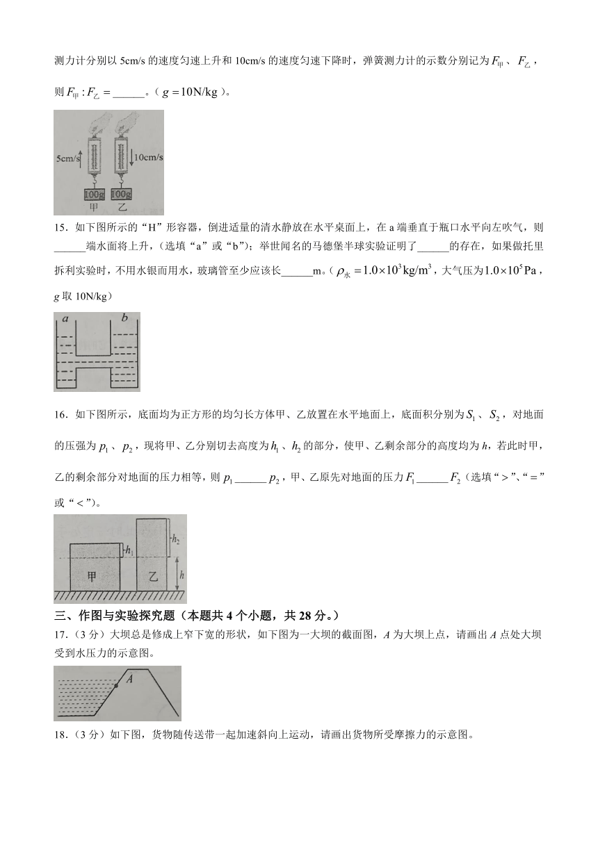 湖南省永州市蓝山县2023-2024学年八年级下学期4月期中物理试题（含答案）