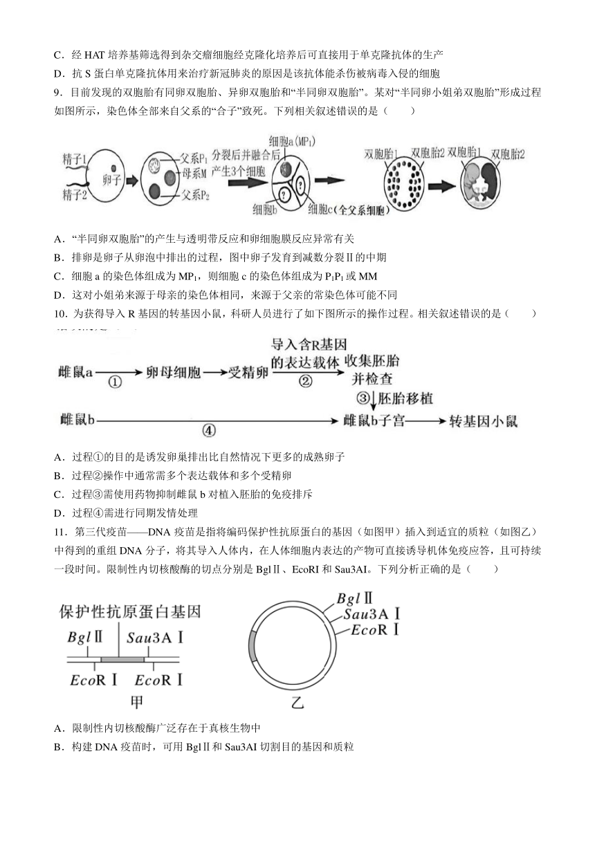 辽宁省实验中学2023-2024学年高二下学期期中阶段测试生物学试题（含答案）