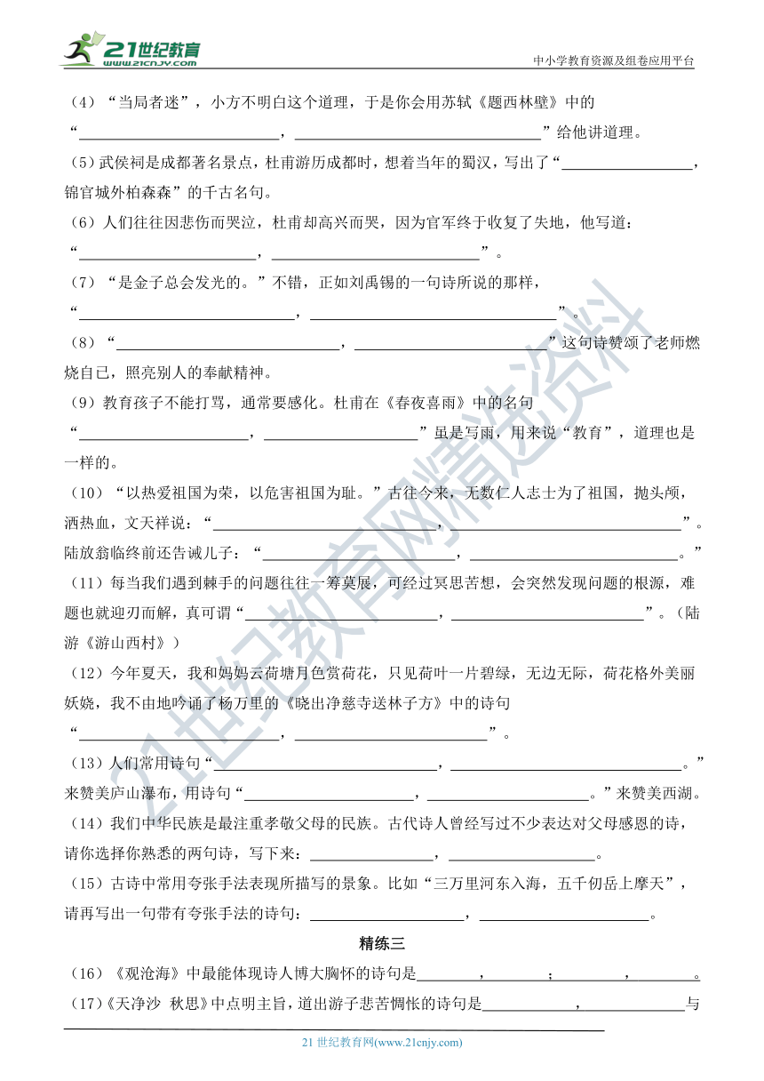 2020语文部编版小升初专题复习精选——古诗词积累与运用含答案