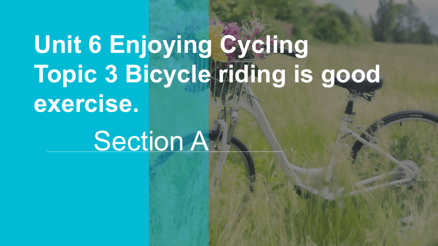 Unit 6 Enjoying Cycling Topic 3 Bicycle riding is good exercise.  Section A课件(共27张PPT)仁爱版英语八年级下册