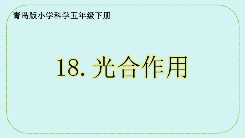 青岛版（六三制2017秋）五年级科学下册5.18 光合作用 课件（24张PPT）