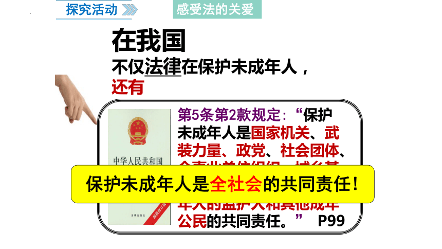 10.1 法律为我们护航 课件(共25张PPT)-2023-2024学年统编版道德与法治七年级下册