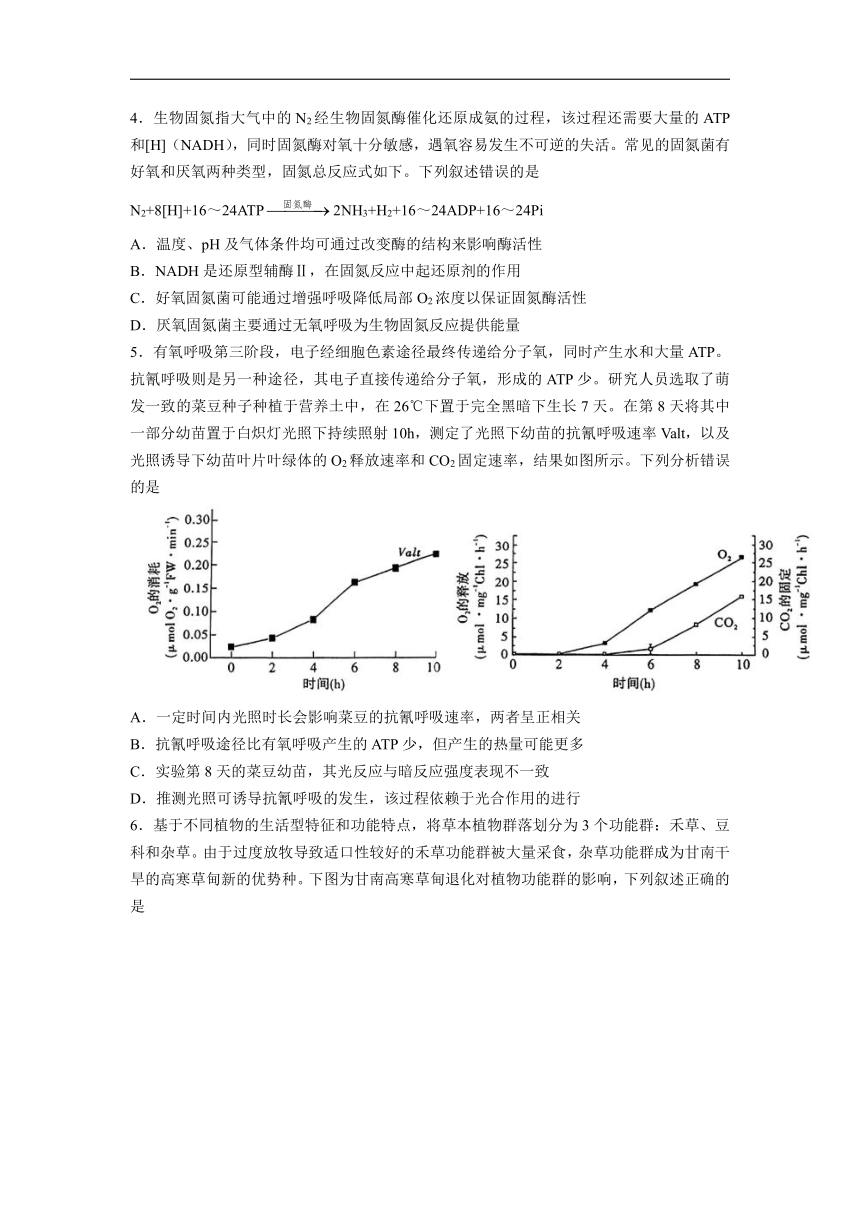 湖北省高中名校联盟2024届高三下学期5月第四次联合测评（三模）生物试题 （含解析）