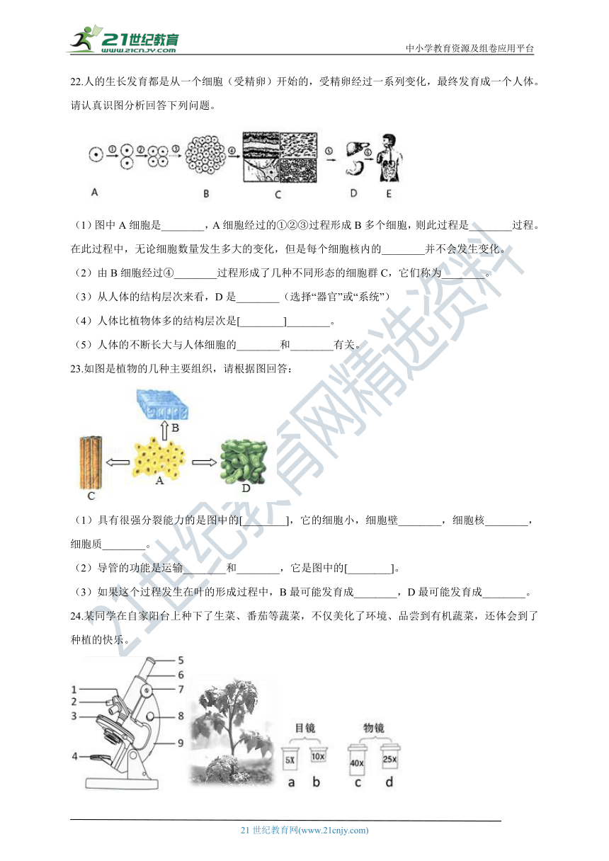 第二单元第二章 细胞怎样构成生物体 章末检测（含解析）