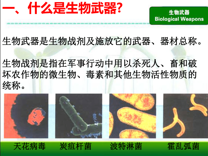 人教版高中生物选修三 禁止生物武器（共30张PPT）