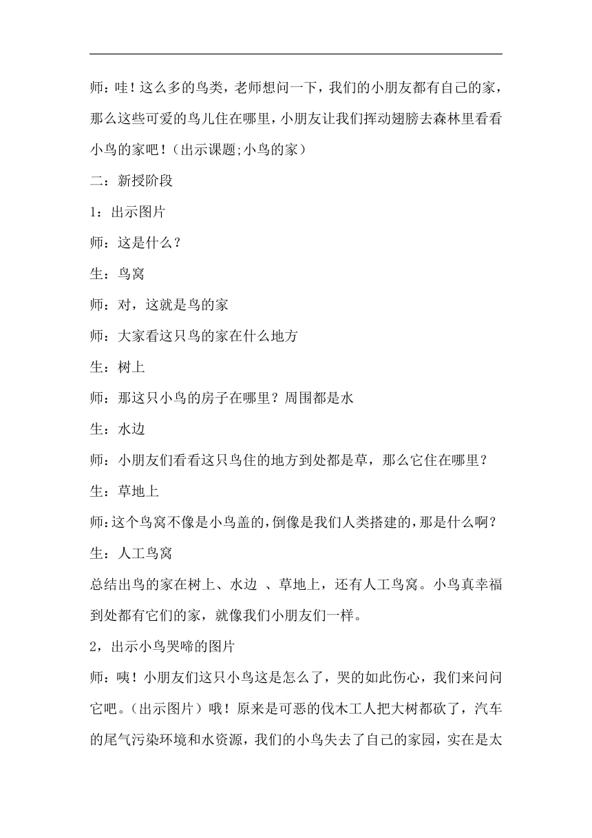 人教版二年级美术下册《第12课　小鸟的家》教学设计