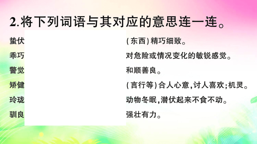 17 松鼠（预习+课堂作业）课件（25张)