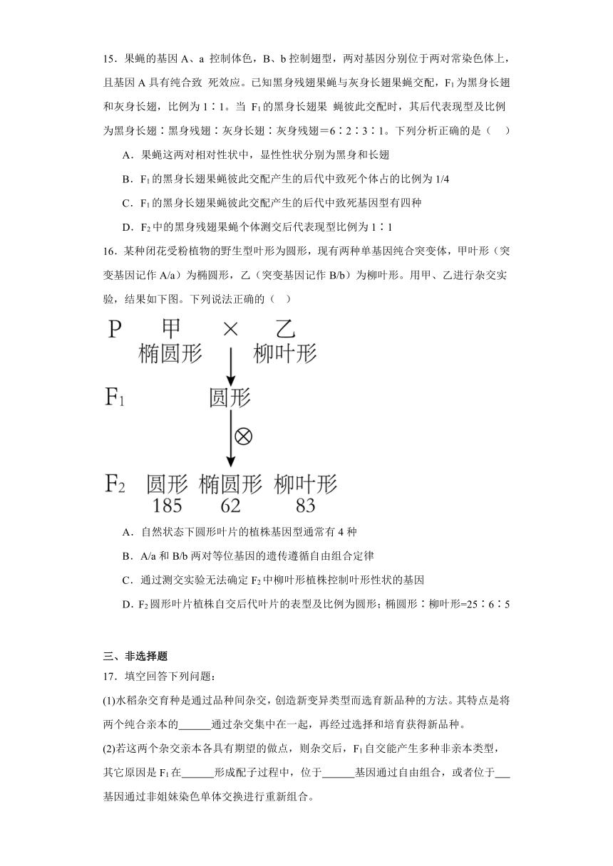 1.2孟德尔的豌豆杂交实验（二）同步练习（含解析）