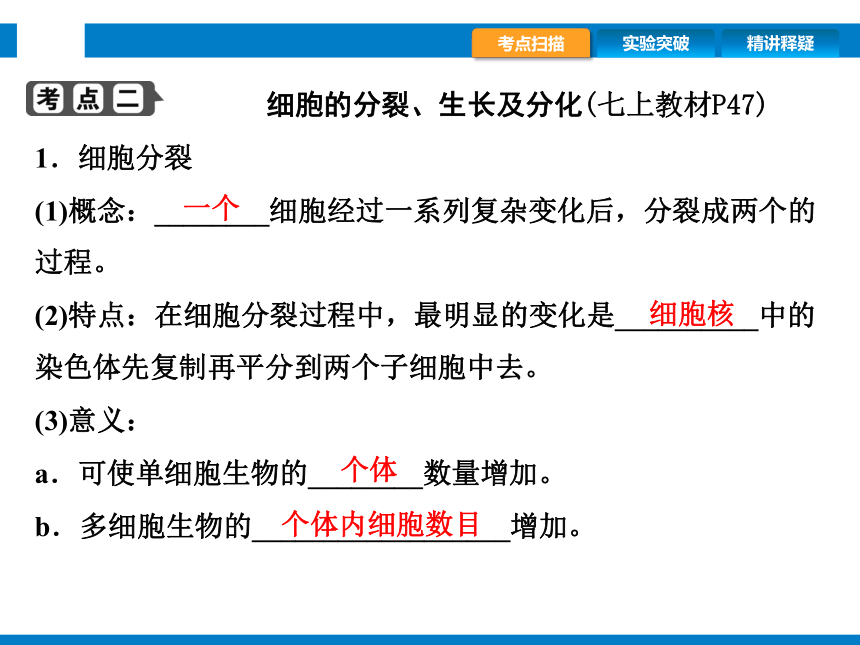 2024浙江省中考科学总复习第2讲　生物的结构与层次（课件 39张PPT）